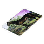 Akhal-teke Stallion Magnet (Linke Seite)