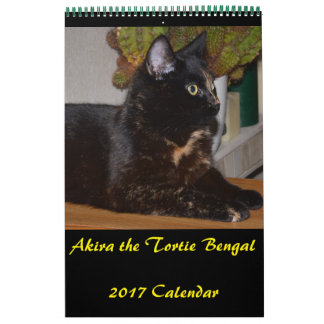 Akira the Tortie Bengalisch 2017 Mittelkalender Kalender