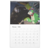 Akira the Tortie Bengalisch 2017 Mittelkalender Kalender (Feb 2026)