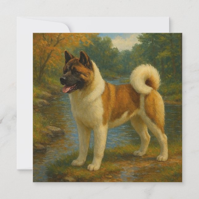 Akita (Vorderseite)
