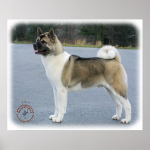 Akita 8P004D-12 Poster