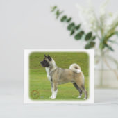 Akita 9R071D-147_2 Postkarte (Stehend Vorderseite)