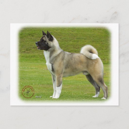 Akita 9R071D-147_2 Postkarte (Vorderseite)