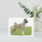 Akita 9R071D-147 Postkarte (Stehend Vorderseite)