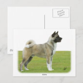 Akita 9R071D-147 Postkarte (Vorne/Hinten)
