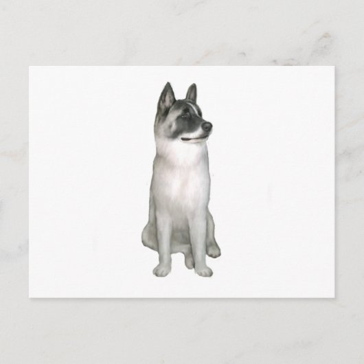 Akita (A) - (schwarze Maske) Postkarte (Vorderseite)
