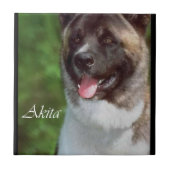 Akita Art Fliese (Vorderseite)