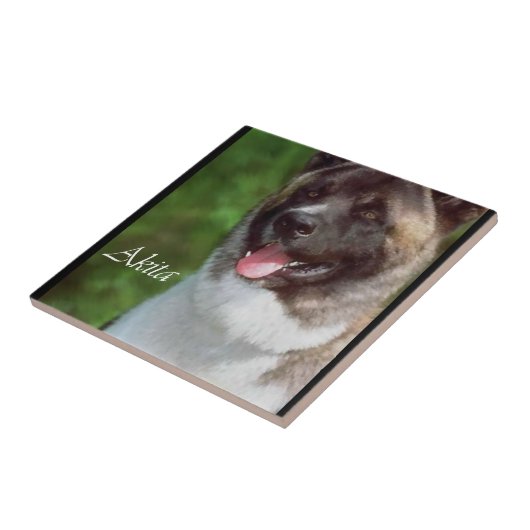 Akita Art Fliese (Seite)