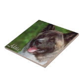 Akita Art Fliese (Seite)