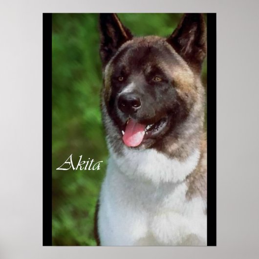 Akita Art Print Geschenke Poster (Vorne)