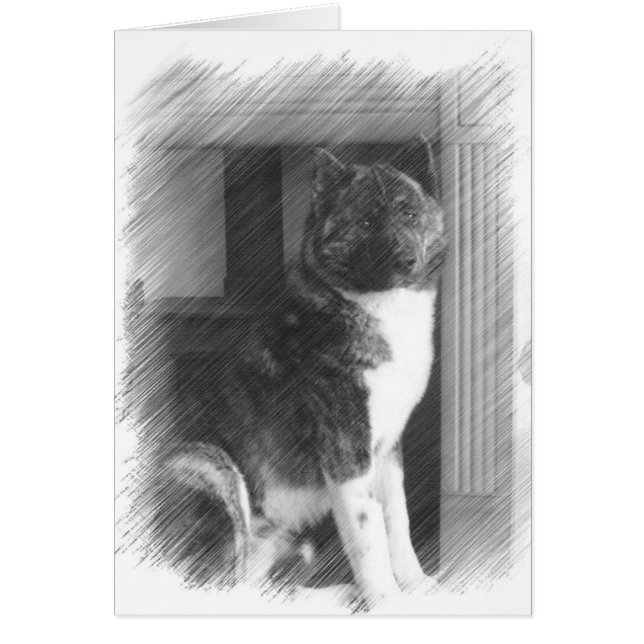 Akita Cards (Vorne)