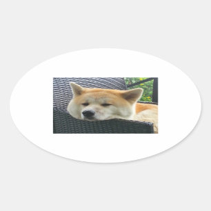 akita-chilling.png ovaler aufkleber
