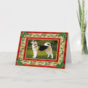 Akita Dog Blank Christmas Card Feiertagskarte
