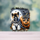 Akita Dog Halloween Square Acrylschild (Neutral)