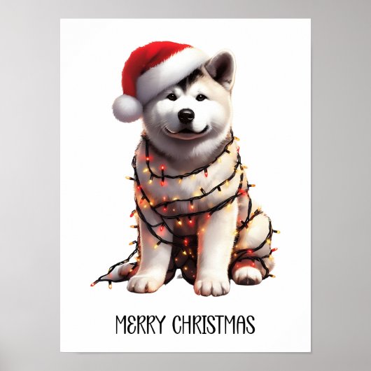 Akita Dog wrag in Weihnachtslicht Poster (Vorne)