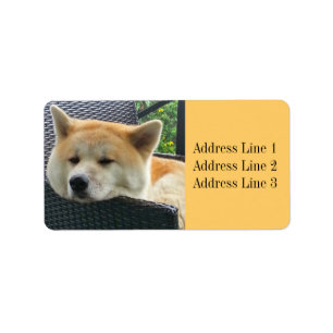 Akita Foto Address Label Adressaufkleber
