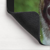 Akita Gaben of Art Mousepad (Ecke)