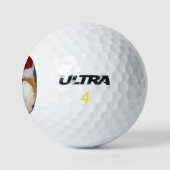 AKITA GOLFBALL (Logo)