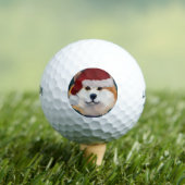 AKITA GOLFBALL (Insitu T-Shirt)