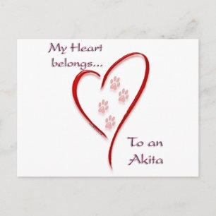 Akita Heart Belongs Postkarte