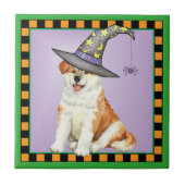 Akita Hexch Fliese (Vorderseite)