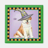 Akita Hexch Magnet (Vorne)