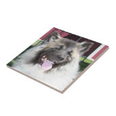 Akita-Hund Fliese (Seite)