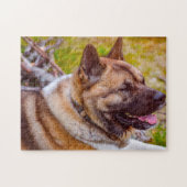 Akita Hund. Puzzle (Horizontal)