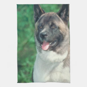 Akita-HundeGeschirrtuch Geschirrtuch