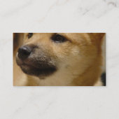 Akita-HundeVisitenkarte Visitenkarte (Rückseite)