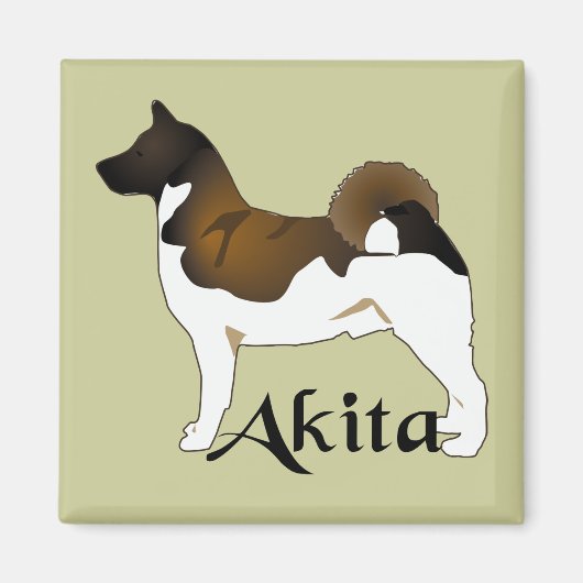 Akita, im Detail Magnet (Vorne)