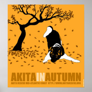 Akita im Herbst (18" x 19,5") Poster