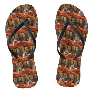 Akita im Herbst inspiriert vom Fall der Blätter Badesandalen