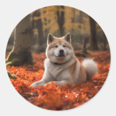 Akita im Herbst Leaves Fall Inspiriert Runder Aufkleber (Vorderseite)