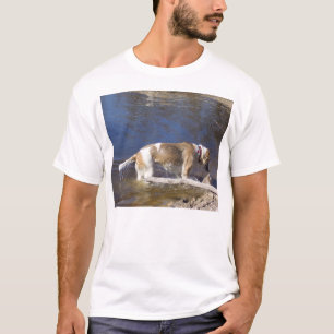 akita im Wasser.png T-Shirt
