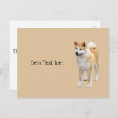 Akita Inu Postkarte (Vorne/Hinten)