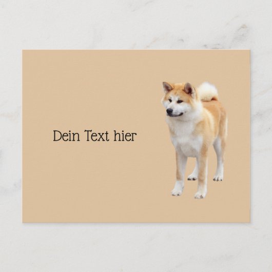 Akita Inu Postkarte (Vorderseite)