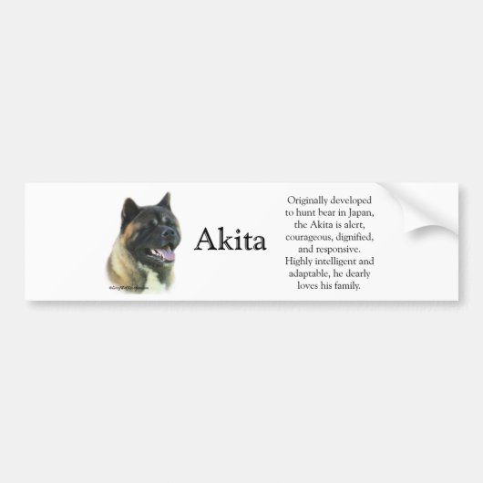 Akita Inu Trivia Autoaufkleber (Vorne)