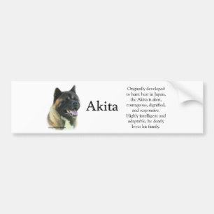 Akita Inu Trivia-Autoaufkleber Autoaufkleber