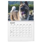 Akita Kalender (Mär 2027)
