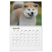 Akita Kalender (Feb 2027)