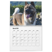 Akita Kalender (Mär 2026)