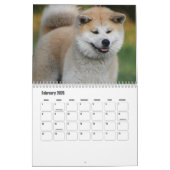 Akita Kalender (Feb 2026)