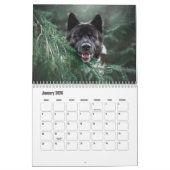 Akita Kalender (Jan 2026)