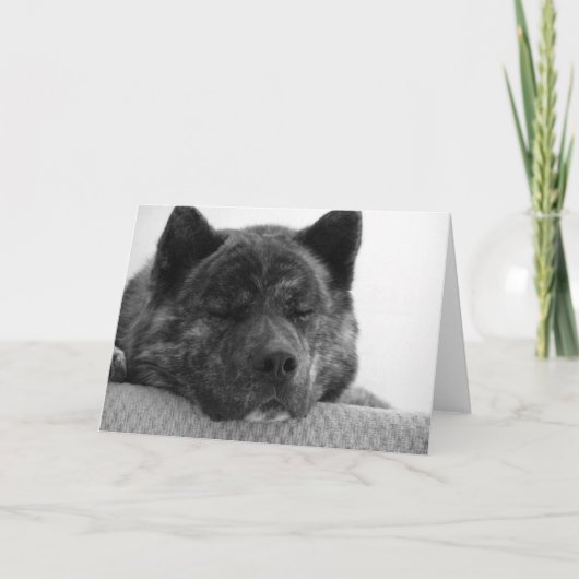 Akita Karte (Vorderseite)