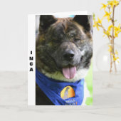 Akita-Karte Karte (Gelbe Blume)