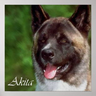 Akita-Kunstposter-Geschenke Poster
