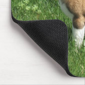 Akita mousepad (Ecke)