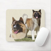 Akita Mousepad (Mit Mouse)