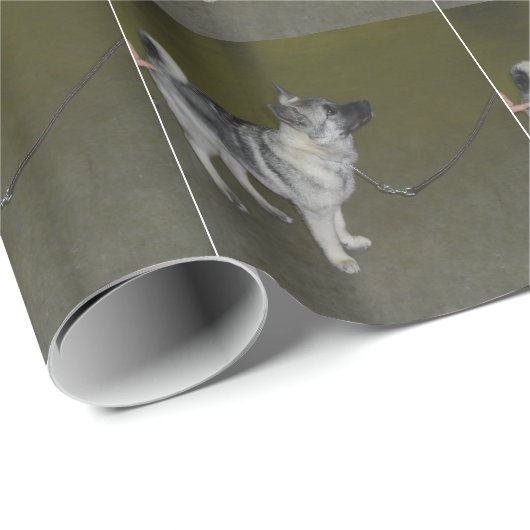 Akita-Packpapier Geschenkpapier (Rolleneckpunkt)